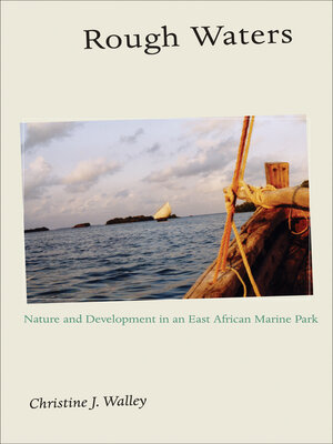 cover image of Rough Waters